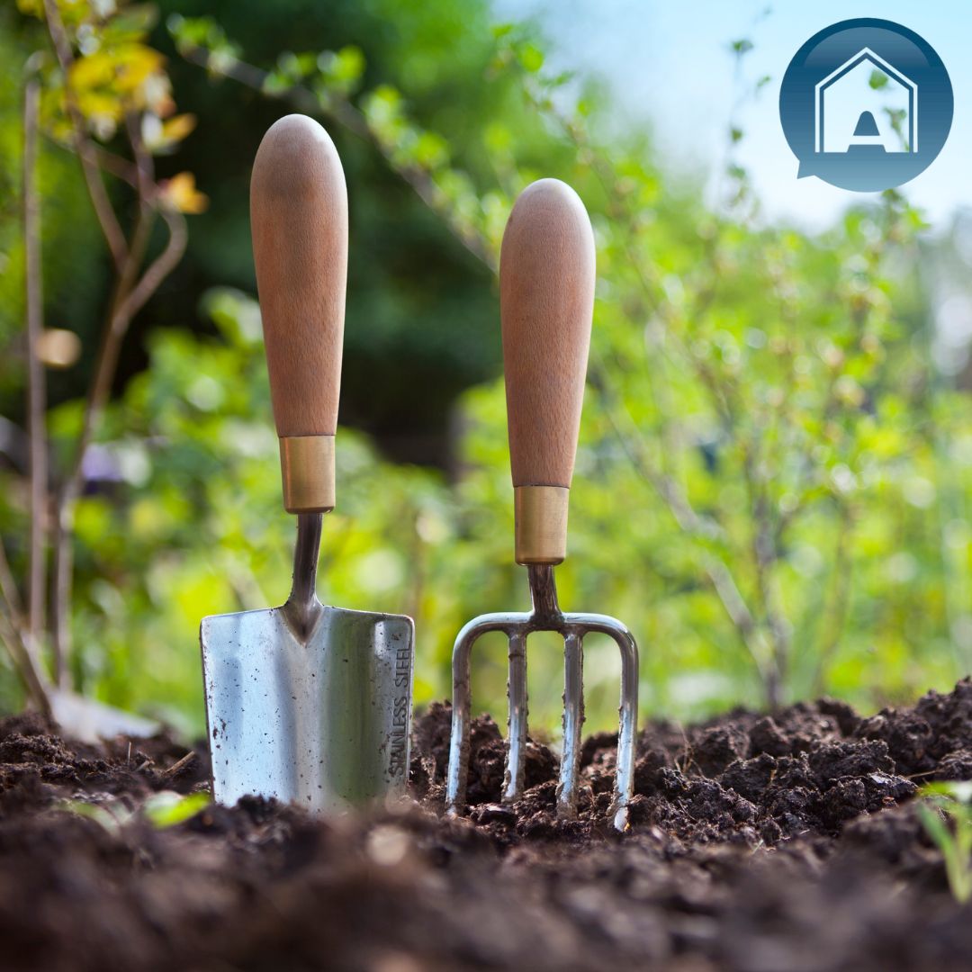 Why winter is the best time for garden improvements