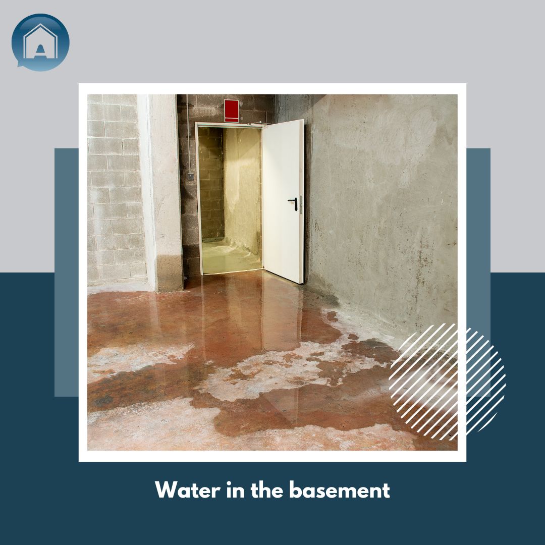 Dealing with leaks and water in the basement